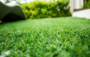 بهترین زمان برای اولین چمن زنی در فصل بهار