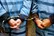 دستگیری سارقان حرفه‌ای خانه باغ‌ها و اماکن خصوصی در مراغه آذربایجان شرقی