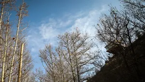 پیش‌بینی رگبار باران و وزش باد شدید در خراسان رضوی/ دمای مشهد افزایش می‌یابد