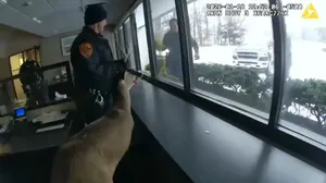 سرقت ناموفق گوزن از بانک / حادثهٔ نادر که پلیس را شگفت‌زده کرد