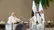 رایزنی رئیس امارات و نخست وزیر هند درباره تقویت همکاری مشترک