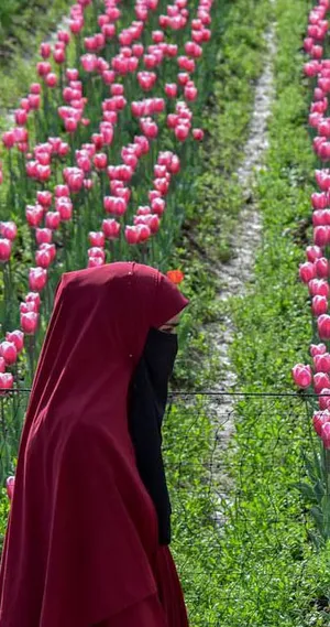 دیدنی های امروز؛ از اعزام فضانوردان به ماه تا جنگ منطقه ای