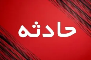 پیدا شدن مرد تهرانی گمشده در کما و در جنوب کشور