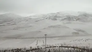 بارش برف نهاوند را سفیدپوش کرد