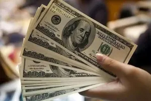 دستگیری عامل توزیع دلارهای تقلبی