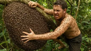 برداشت عسل از کندوی غول‌پیکر در بالای درخت