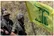 حزب‌الله: مذاکرات مستقیم با رژیم صهیونیستی «تحقیرآمیز» است