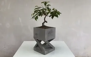 نحوه ساخت یک گلدان زیبا با سیمان و مقوا به روش استاد چینی