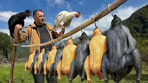 پخت سیاه‌ترین خروس جهان در یک آشپزی متفاوت