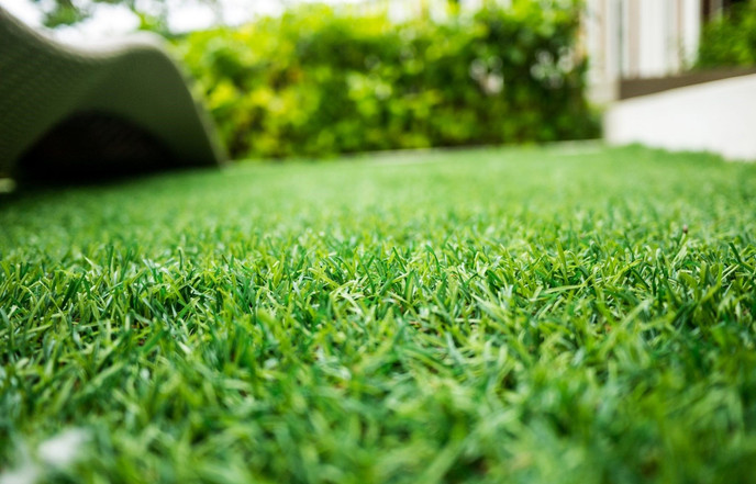 بهترین زمان برای اولین چمن زنی در فصل بهار