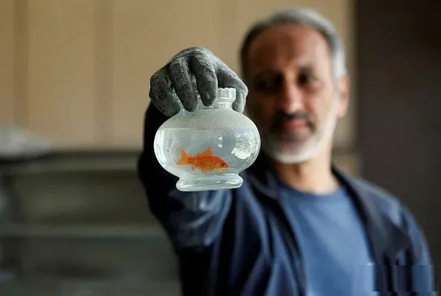 زیستِ عزت مند در جهانِ بی ریشۀ پر آشوب