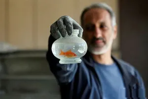 زیستِ عزت مند در جهانِ بی ریشۀ پر آشوب