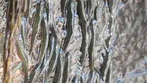 ماهی های کوچکی که برای صعود از آبشار 10 ساعت صخره‌نوردی می کنند!